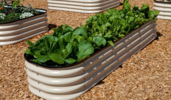 Galvanized Raised Garden Beds for Vegetables Metal Planter Box Steel Kit 7x3x1ft)