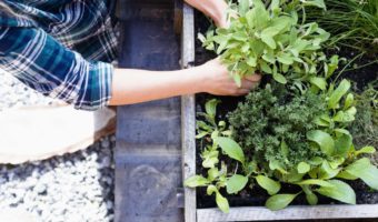 SIMFLAG Raised Garden Bed,Wood Planters Bed with Large Storage Shelf