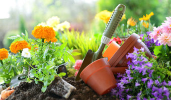 2pcs Metal Planter Bed