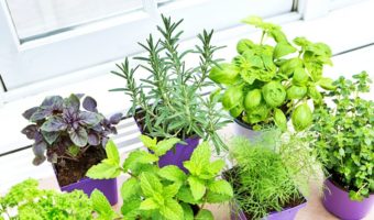 Amazing Creation Stackable Planter Vertical Garden