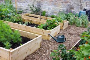 The top 9 best value planter beds for 2023