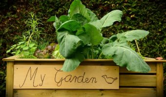 Maxi Manger Trough Planters by Harrod Horticultural