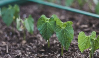 VEVOR Plastic Raised Garden Bed