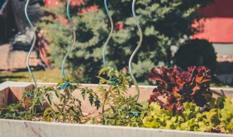 Best Choice Products 34x18x30in Raised Garden Bed