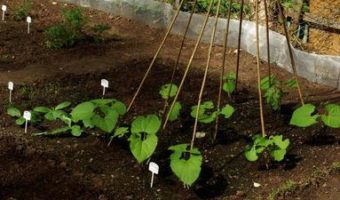 MONDEZON Raised Garden Bed Galvanized Planter
