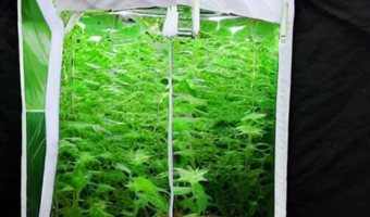 Why some Gardeners use Grow tent kits