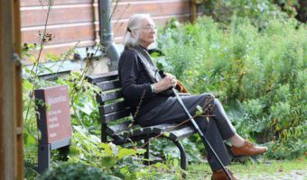 Is Gardening in Raised beds easy for Elders and the Less Able